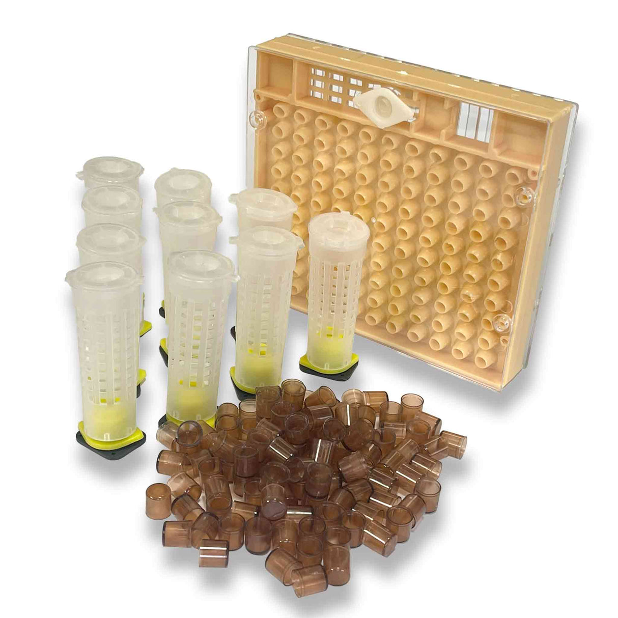 Queen Bee Nicolette Rearing Layer System Kit