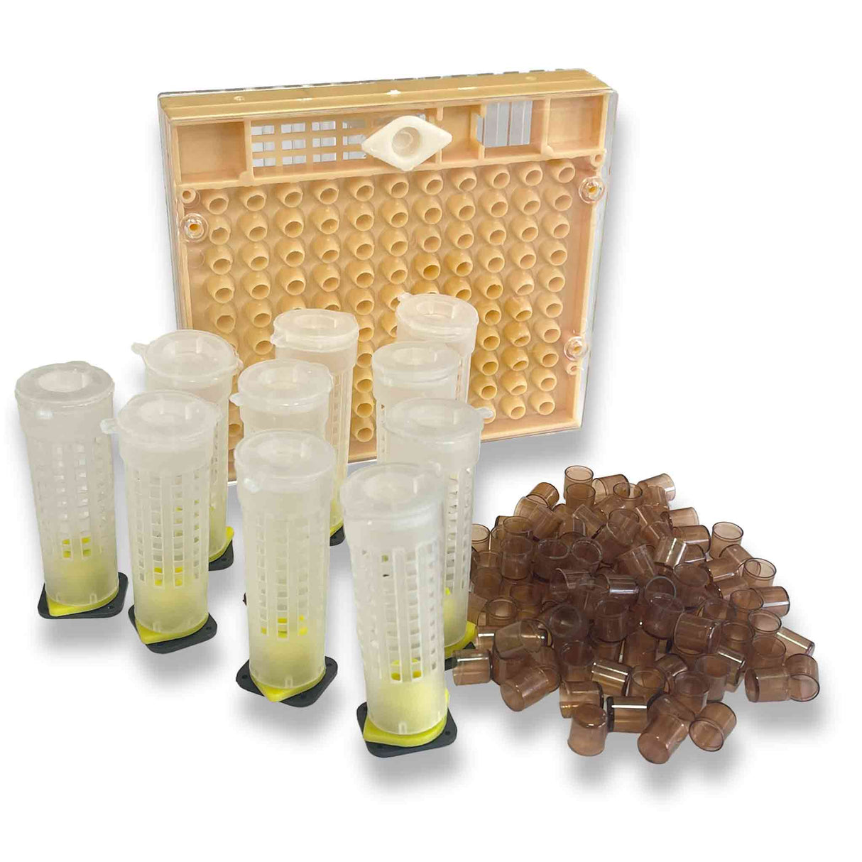 Queen Bee Nicolette Rearing Layer System Kit