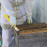 Jero Jumbo Hive Tool (American/Kelly Type) - Made in Europe