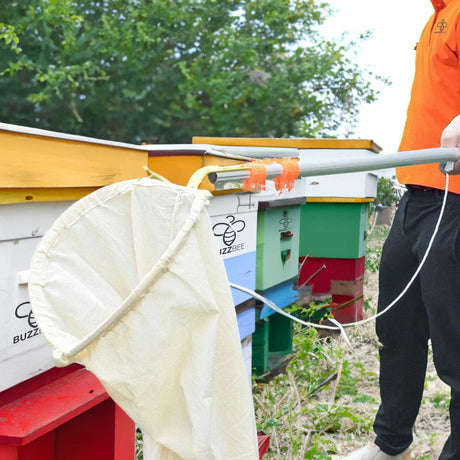 Bee Swarm Catcher with Telescopic Extension Pole -  collection by Buzzbee Beekeeping Supplies