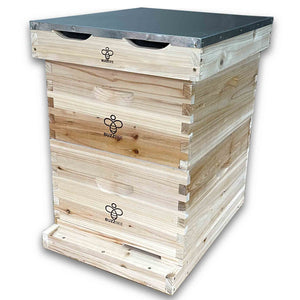 Langstroth Beehives