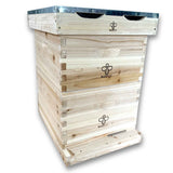 Langstroth Beehive (8 or 10 Frames) - Hives collection by Buzzbee Beekeeping Supplies