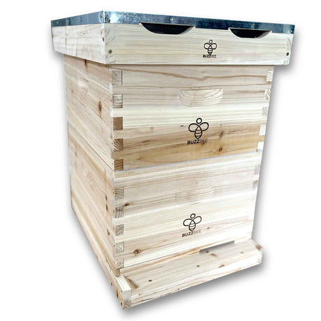 Langstroth Beehive (8 or 10 Frames) - Hives collection by Buzzbee Beekeeping Supplies