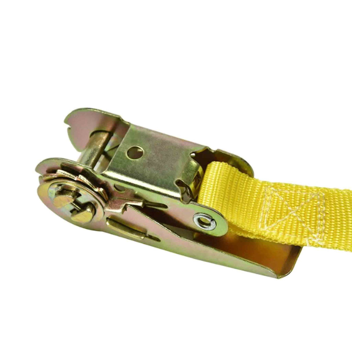 Beehive Strap General without Hook - Accessories collection by Buzzbee Beekeeping Supplies