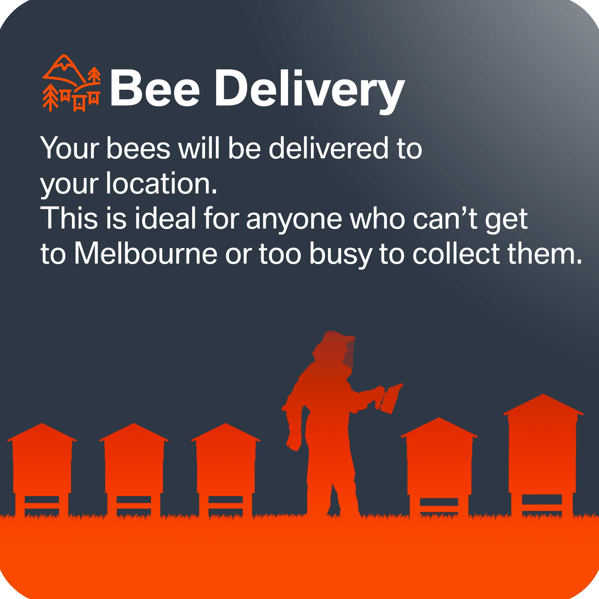 Bees for Sale - Delivered to your door - Bees collection by Buzzbee Beekeeping Supplies