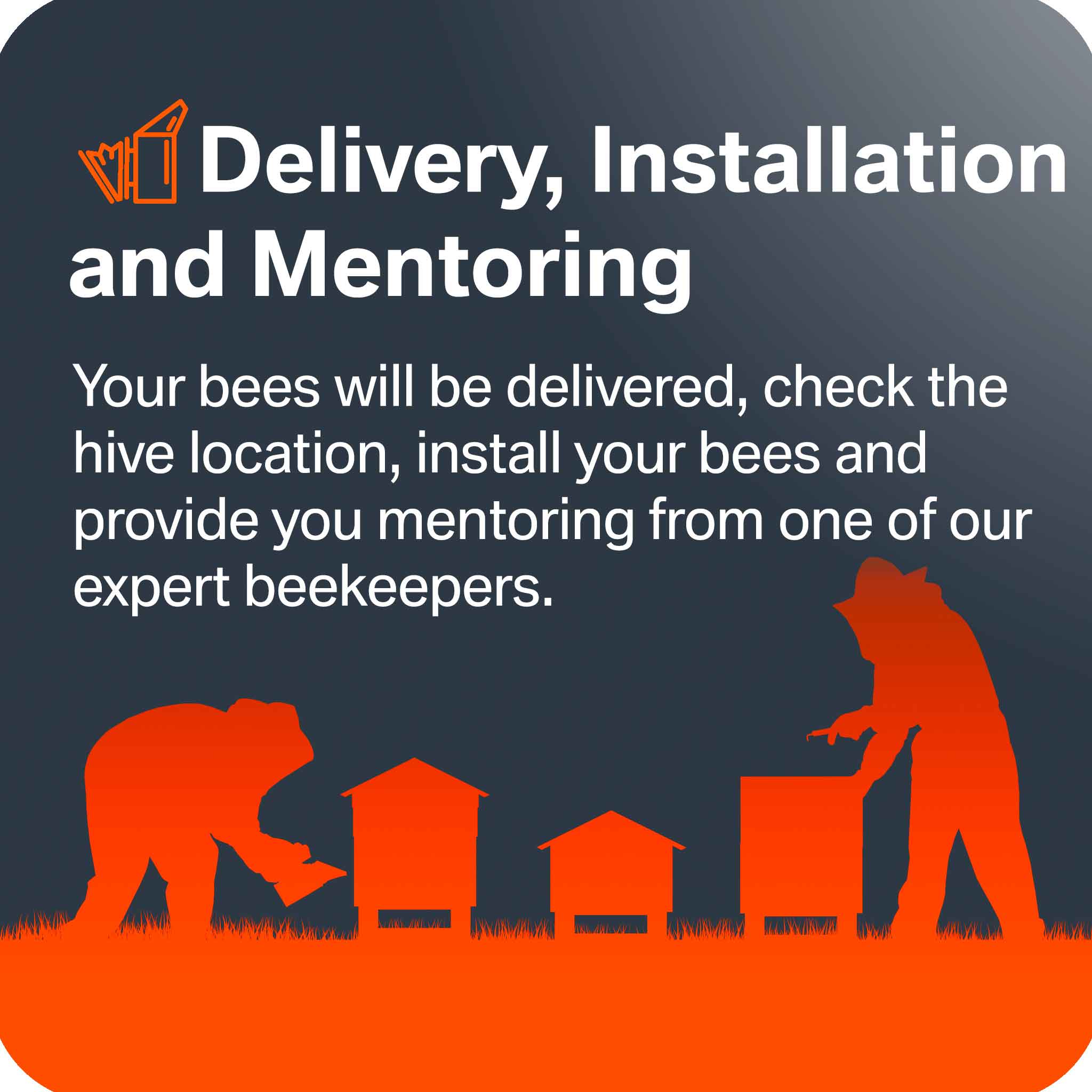 Bees for Sale - Delivery, Install and Mentoring - Bees collection by Buzzbee Beekeeping Supplies