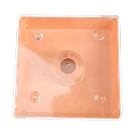 Beekeeping Plastic Top Square Rapid Feeder - Bee Feeders collection by Buzzbee Beekeeping Supplies