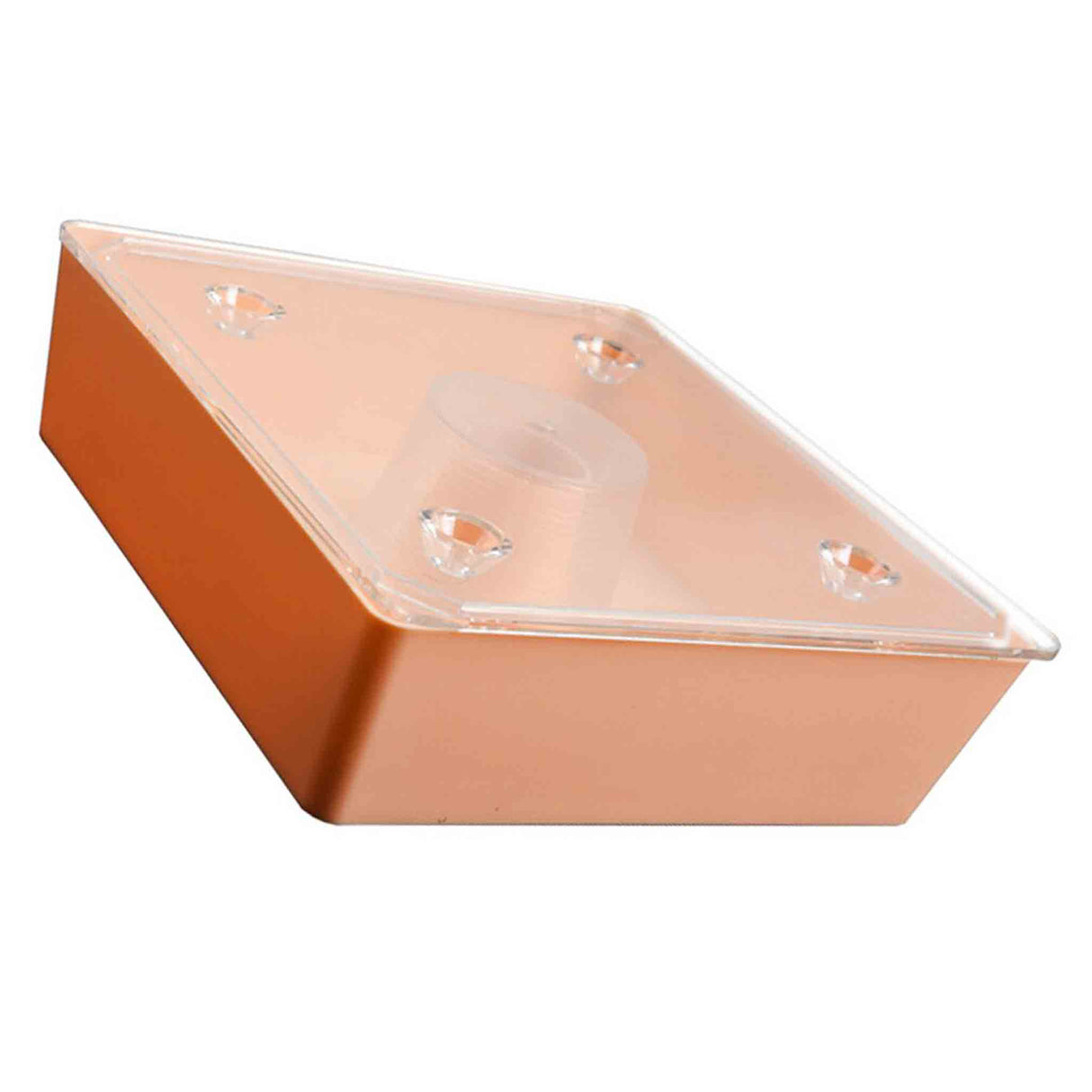 Beekeeping Plastic Top Square Rapid Feeder - Bee Feeders collection by Buzzbee Beekeeping Supplies