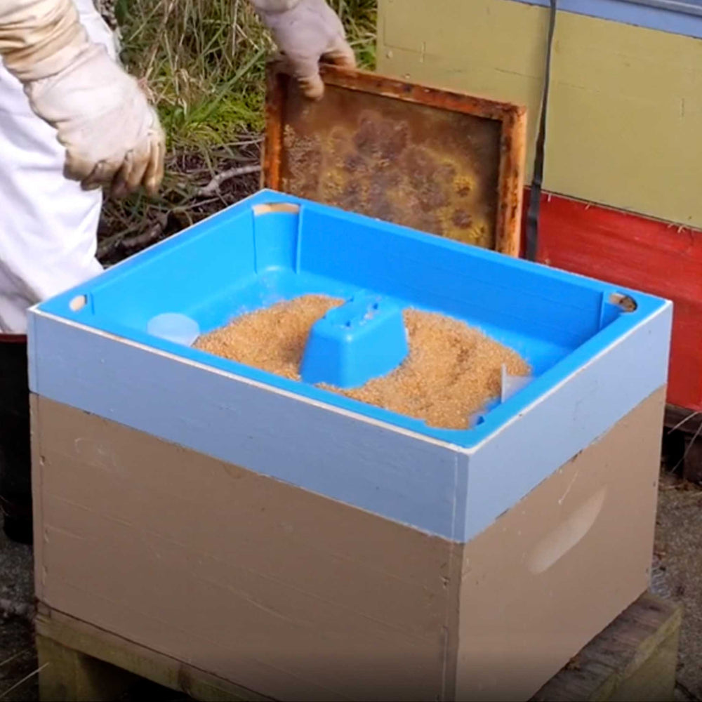 Ceracell Beekeeping 10 Frame Top Feeder Buzzbee Beekeeping