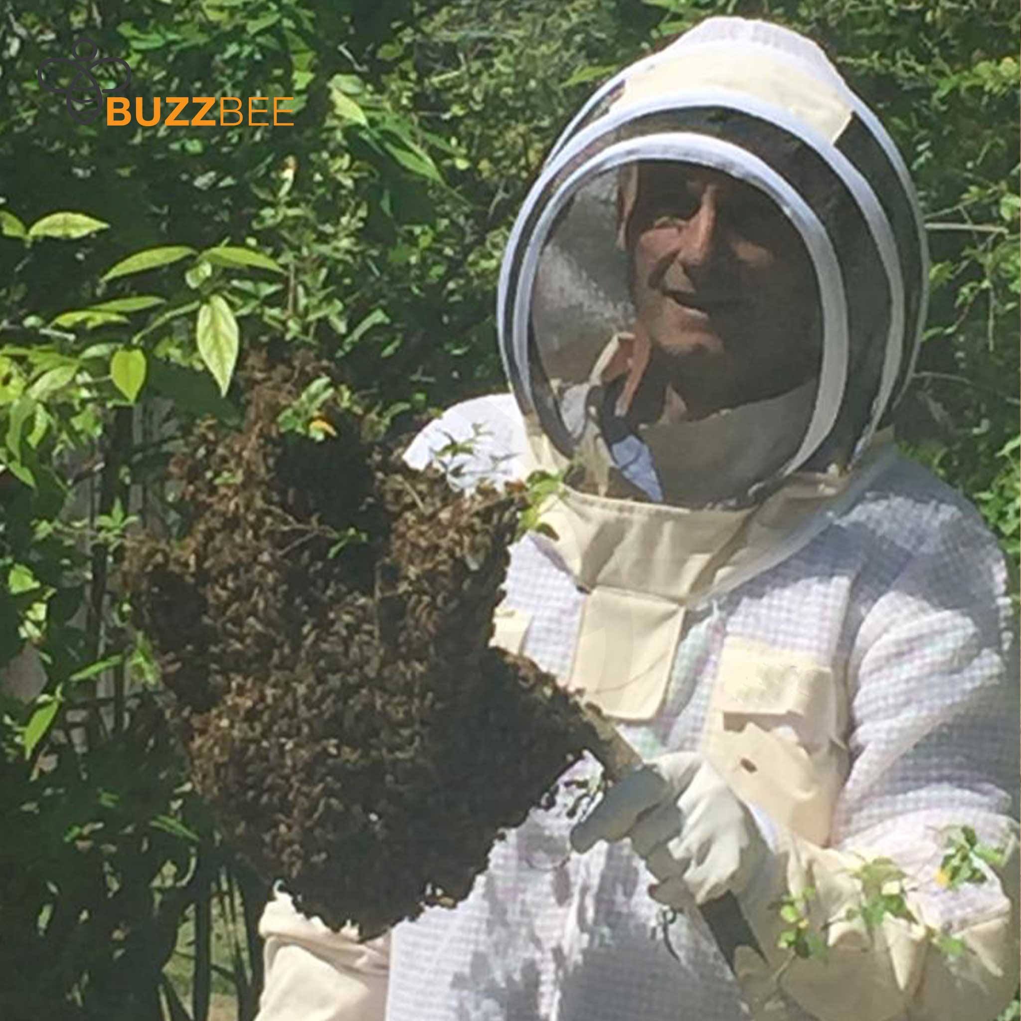 Bee Removal Service - Bee Service collection by Buzzbee Beekeeping Supplies