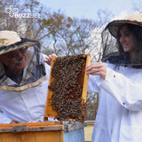 Bees for Sale - Delivery, Install and Mentoring - Bees collection by Buzzbee Beekeeping Supplies