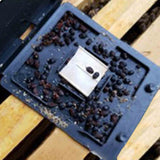 Beetle Barn Type Hive Beetle Trap (5 Pack) - Health collection by Buzzbee Beekeeping Supplies