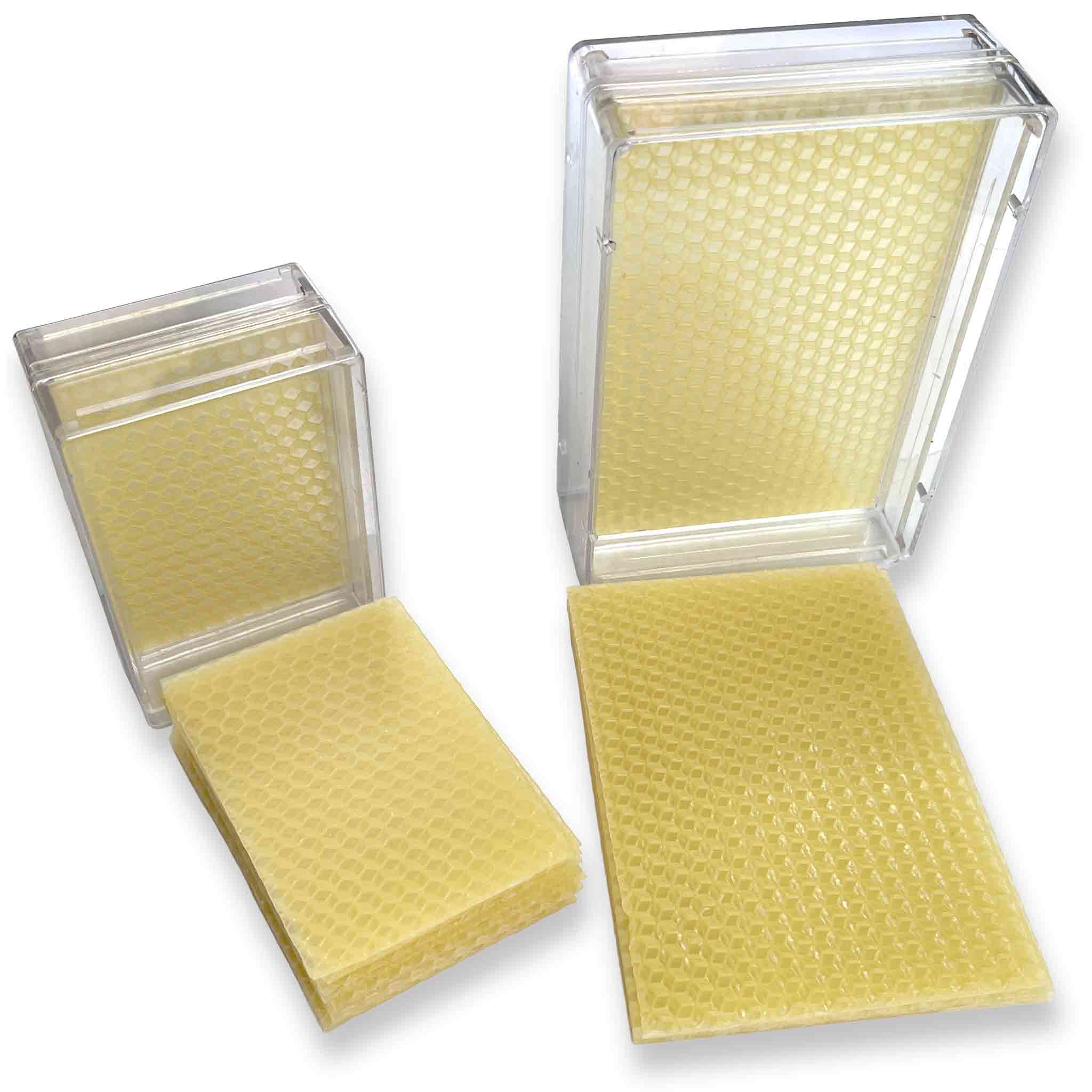 Containers Cassettes Frame Holder for Honey Comb - Processing collection by Buzzbee Beekeeping Supplies