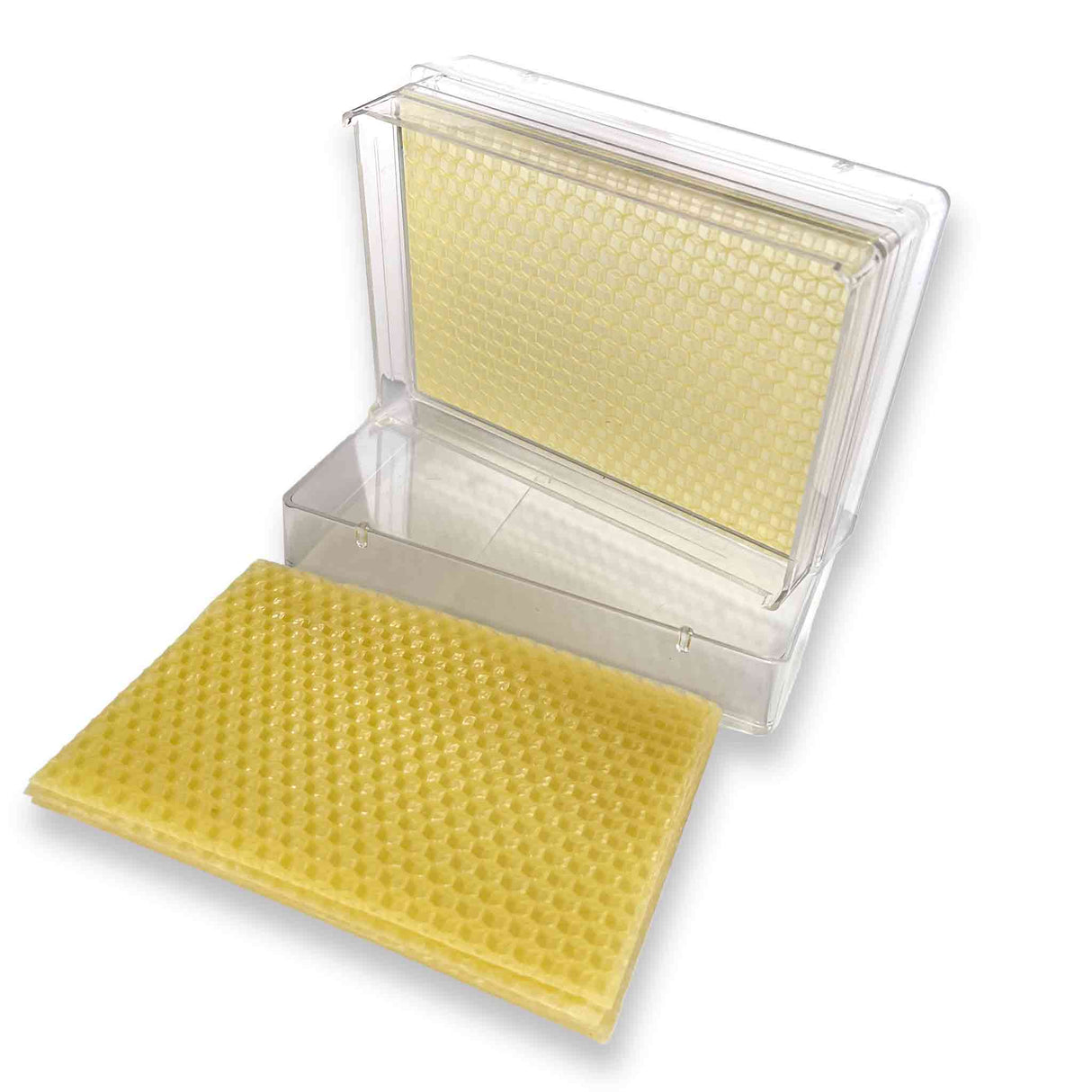 Containers Cassettes Frame Holder for Honey Comb - Processing collection by Buzzbee Beekeeping Supplies