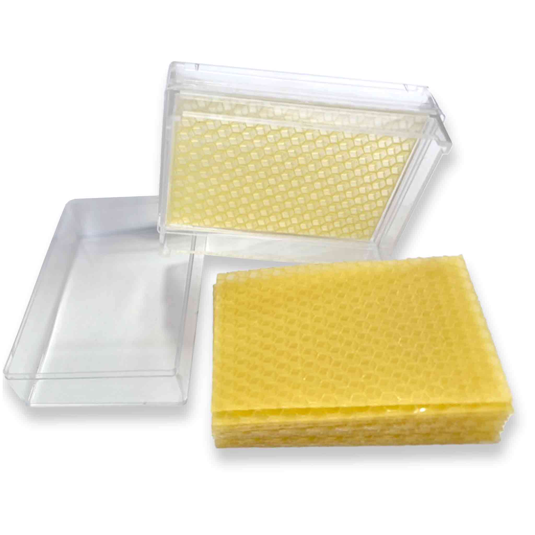 Containers Cassettes Frame Holder for Honey Comb - Processing collection by Buzzbee Beekeeping Supplies