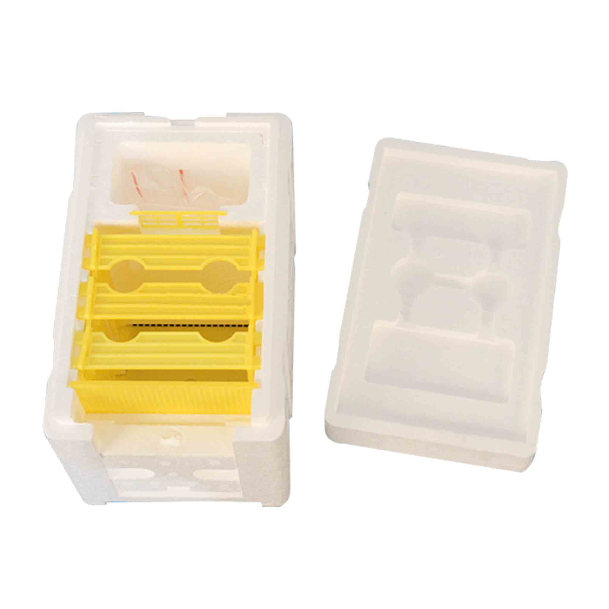 Mini Mating NUC Box (2 Pack) - Hives collection by Buzzbee Beekeeping Supplies