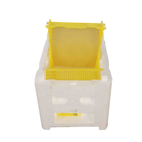 Mini Mating NUC Box (2 Pack) - Hives collection by Buzzbee Beekeeping Supplies