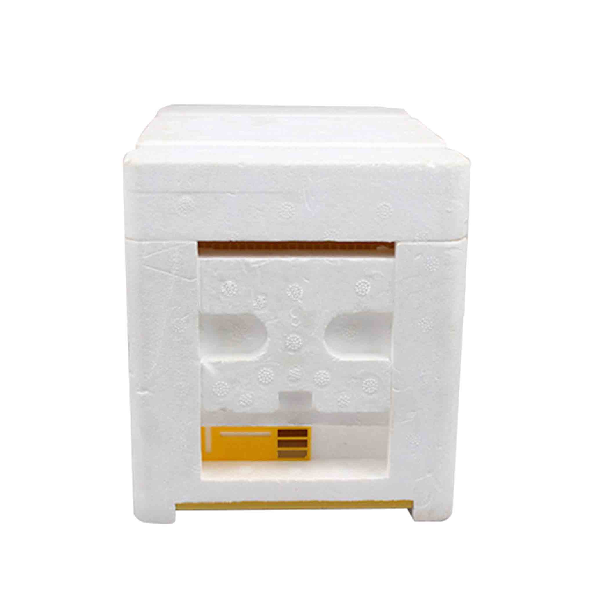 Mini Mating NUC Box (2 Pack) - Hives collection by Buzzbee Beekeeping Supplies