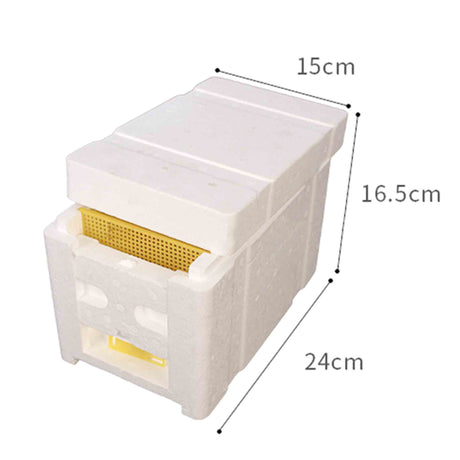 Mini Mating NUC Box (2 Pack) - Hives collection by Buzzbee Beekeeping Supplies