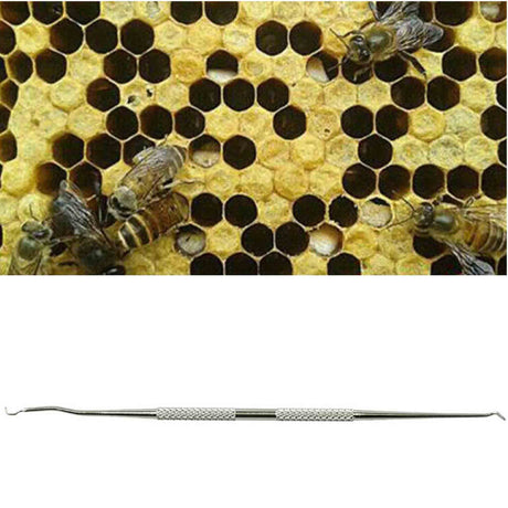 Double End Straight Stainless-Steel Grafting Tool for Queen Rearing - Queen collection by Buzzbee Beekeeping Supplies